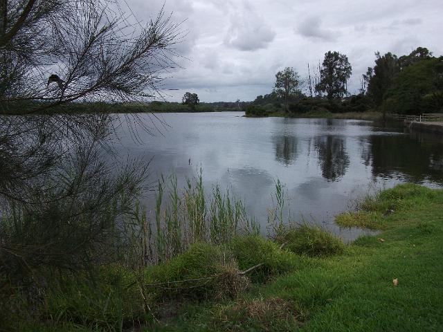 manning waters 007.JPG